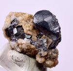 1.2cms PYRARGIRITE POLYBASITE PERU UCHUCCHACUA MINE HB287