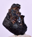 2cms NATIVE SILVER WIRE BORNITE PERU UCHUCCHACUA MINE MINERAL SPECIMEN HB288