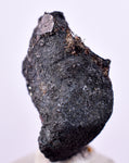 2cms NATIVE SILVER WIRE BORNITE PERU UCHUCCHACUA MINE MINERAL SPECIMEN HB288