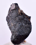 2cms NATIVE SILVER WIRE BORNITE PERU UCHUCCHACUA MINE MINERAL SPECIMEN HB288