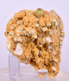 5.1cms YELLOW APATITE CRYSTALS IMILCHIL MOROCCO MINERAL SPECIMEN AB260