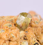 5.1cms YELLOW APATITE CRYSTALS IMILCHIL MOROCCO MINERAL SPECIMEN AB260