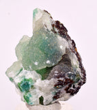 4.2cms DRUZY CHRYSOCOLLA QUARTZ CRYSTAL LILY MINE PERU 2000 YEAR DB301