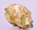 3.4cms YELLOW APATITE CRYSTALS IMILCHIL MOROCCO MINERAL SPECIMEN AB261