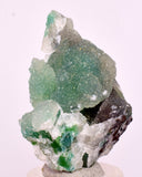 4.2cms DRUZY CHRYSOCOLLA QUARTZ CRYSTAL LILY MINE PERU 2000 YEAR DB301