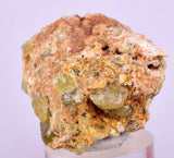 3.4cms YELLOW APATITE CRYSTALS IMILCHIL MOROCCO MINERAL SPECIMEN AB261