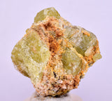3.4cms YELLOW APATITE CRYSTALS IMILCHIL MOROCCO MINERAL SPECIMEN AB261