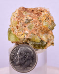 3.4cms YELLOW APATITE CRYSTALS IMILCHIL MOROCCO MINERAL SPECIMEN AB261