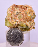 3.4cms YELLOW APATITE CRYSTALS IMILCHIL MOROCCO MINERAL SPECIMEN AB261