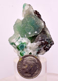 4.2cms DRUZY CHRYSOCOLLA QUARTZ CRYSTAL LILY MINE PERU 2000 YEAR DB301