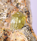 4.2cms YELLOW APATITE CRYSTALS IMILCHIL MOROCCO MINERAL SPECIMEN AB262