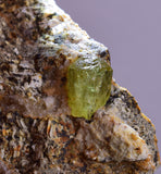 4.2cms YELLOW APATITE CRYSTALS IMILCHIL MOROCCO MINERAL SPECIMEN AB262