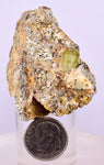 4.2cms YELLOW APATITE CRYSTALS IMILCHIL MOROCCO MINERAL SPECIMEN AB262