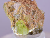 3.4cms YELLOW APATITE CRYSTALS IMILCHIL MOROCCO MINERAL SPECIMEN AB261