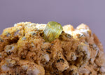 5.1cms YELLOW APATITE CRYSTALS IMILCHIL MOROCCO MINERAL SPECIMEN AB260