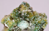 4.6cms DRUZY CHRYSOCOLLA QUARTZ CRYSTAL LILY MINE PERU 2000 YEAR DB303