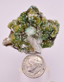4.6cms DRUZY CHRYSOCOLLA QUARTZ CRYSTAL LILY MINE PERU 2000 YEAR DB303