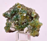 4.6cms DRUZY CHRYSOCOLLA QUARTZ CRYSTAL LILY MINE PERU 2000 YEAR DB304