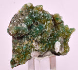 4.6cms DRUZY CHRYSOCOLLA QUARTZ CRYSTAL LILY MINE PERU 2000 YEAR DB304