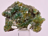 4.6cms DRUZY CHRYSOCOLLA QUARTZ CRYSTAL LILY MINE PERU 2000 YEAR DB304