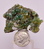 4.6cms DRUZY CHRYSOCOLLA QUARTZ CRYSTAL LILY MINE PERU 2000 YEAR DB304