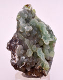 4.9cms DRUZY CHRYSOCOLLA QUARTZ CRYSTAL LILY MINE PERU 2000 YEAR DB305