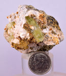 5.5cms YELLOW APATITE CRYSTALS IMILCHIL MOROCCO MINERAL SPECIMEN AB264