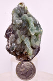 4.9cms DRUZY CHRYSOCOLLA QUARTZ CRYSTAL LILY MINE PERU 2000 YEAR DB305
