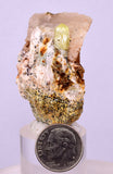 4.5cms YELLOW APATITE CRYSTALS IMILCHIL MOROCCO MINERAL SPECIMEN AB265