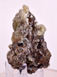 6cms DRUZY CHRYSOCOLLA QUARTZ CRYSTAL LILY MINE PERU 2000 YEAR DB306