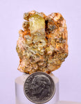 4.4cms YELLOW APATITE CRYSTALS IMILCHIL MOROCCO MINERAL SPECIMEN AB266
