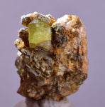 4.4cms YELLOW APATITE CRYSTALS IMILCHIL MOROCCO MINERAL SPECIMEN AB266
