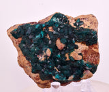 6.5cms DIOPTASE CRYSTALS CONGO EMERALD COLOR MINERAL SPECIMEN KB189