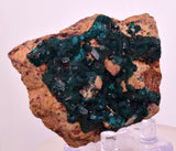 6.5cms DIOPTASE CRYSTALS CONGO EMERALD COLOR MINERAL SPECIMEN KB189