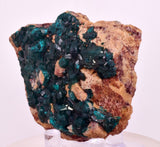 6.5cms DIOPTASE CRYSTALS CONGO EMERALD COLOR MINERAL SPECIMEN KB189