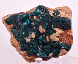 6.5cms DIOPTASE CRYSTALS CONGO EMERALD COLOR MINERAL SPECIMEN KB189