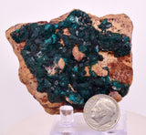 6.5cms DIOPTASE CRYSTALS CONGO EMERALD COLOR MINERAL SPECIMEN KB189