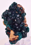 6.3cms DIOPTASE CRYSTALS CONGO EMERALD COLOR MINERAL SPECIMEN KB190