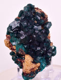 6.3cms DIOPTASE CRYSTALS CONGO EMERALD COLOR MINERAL SPECIMEN KB190