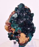 6.3cms DIOPTASE CRYSTALS CONGO EMERALD COLOR MINERAL SPECIMEN KB190