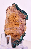 6.3cms DIOPTASE CRYSTALS CONGO EMERALD COLOR MINERAL SPECIMEN KB190