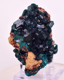 6.3cms DIOPTASE CRYSTALS CONGO EMERALD COLOR MINERAL SPECIMEN KB190
