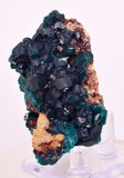6.3cms DIOPTASE CRYSTALS CONGO EMERALD COLOR MINERAL SPECIMEN KB190