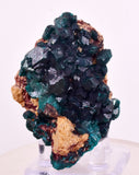 6.3cms DIOPTASE CRYSTALS CONGO EMERALD COLOR MINERAL SPECIMEN KB190