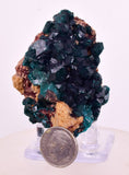 6.3cms DIOPTASE CRYSTALS CONGO EMERALD COLOR MINERAL SPECIMEN KB190