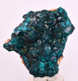 4.9cms DIOPTASE CRYSTALS CONGO EMERALD COLOR MINERAL SPECIMEN KB191