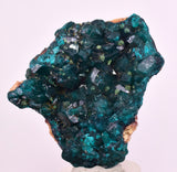 4.9cms DIOPTASE CRYSTALS CONGO EMERALD COLOR MINERAL SPECIMEN KB191