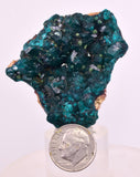 4.9cms DIOPTASE CRYSTALS CONGO EMERALD COLOR MINERAL SPECIMEN KB191