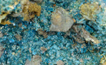 13.5cms NATURAL CHALCANTHITE  Unique Copper Druzy Peru Electric Blue Sharp Shiny Mineral Specimen Collector FB82