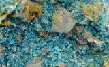 13.5cms NATURAL CHALCANTHITE  Unique Copper Druzy Peru Electric Blue Sharp Shiny Mineral Specimen Collector FB82